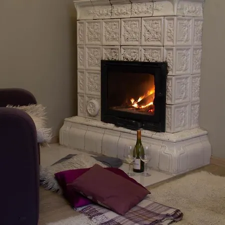 Flat In Close To The Centre Parking, Wifi, Bbq Apartment