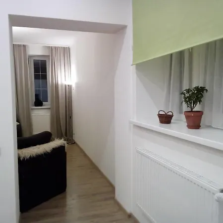 Apartment Flat In Close To The Centre Parking, Wifi, Bbq Lemberg