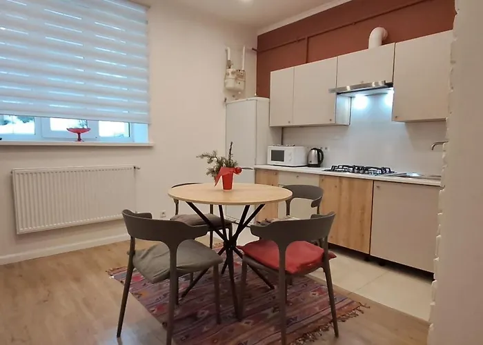 Flat In Close To The Centre Parking, Wifi, Bbq Λβιβ